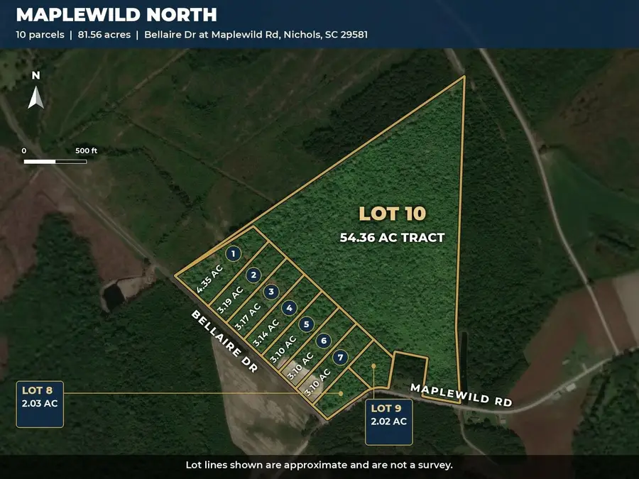 TBD Maplewild Rd., Nichols, SC 29581 - #2