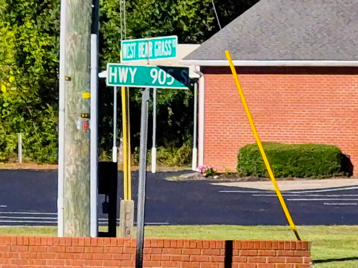 123+ E Bear Grass Rd., Longs, SC 29568 - #1