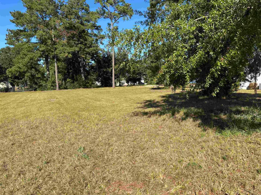 Lot 161 Seaport Circle, Georgetown, SC 29440 - #3
