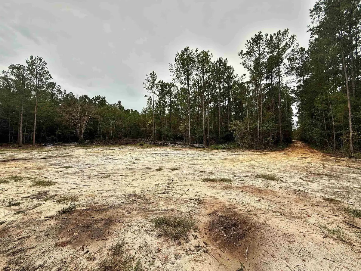 1682 Carriage Dr., Loris, SC 29569 - #1