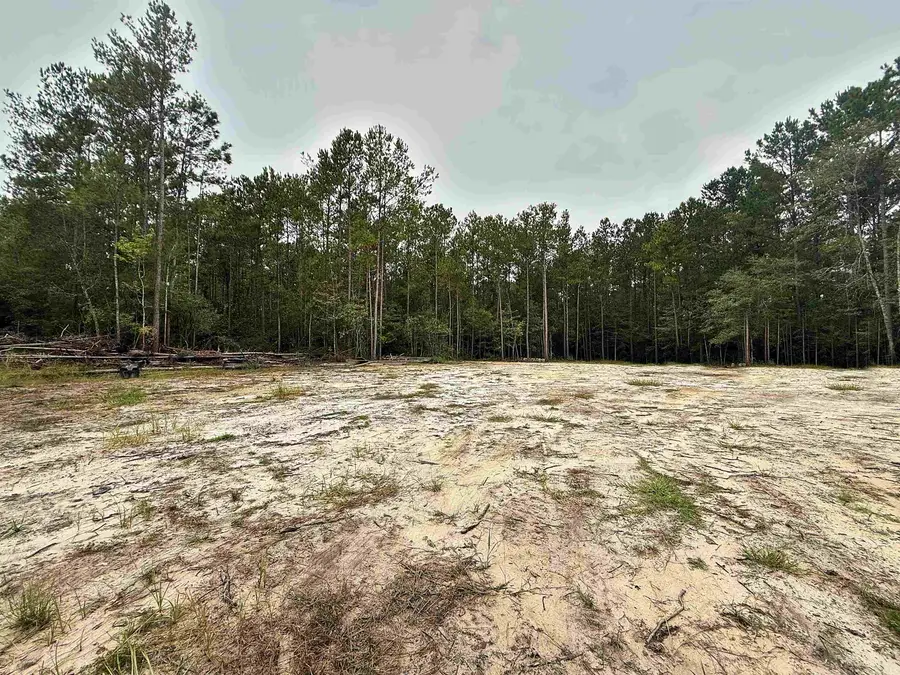 1682 Carriage Dr., Loris, SC 29569 - #3
