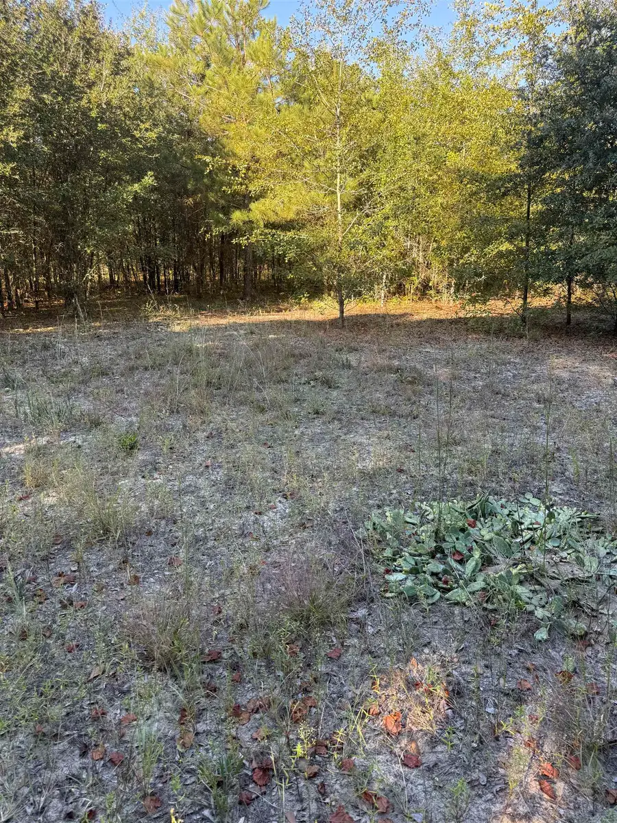 7506 Highway 501 Business, Latta, SC 29565 - #3