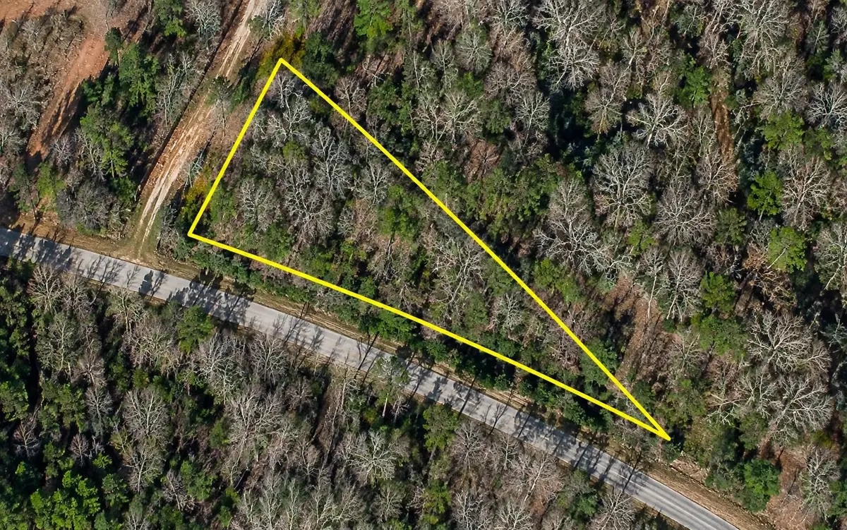TBD W County Line Rd., Hemingway, SC 29554 - #1