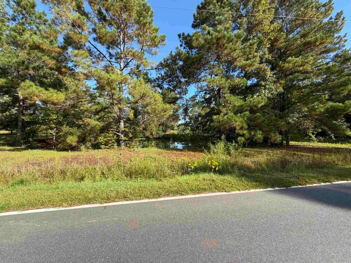 Tract 2 Wise Rd., Conway, SC 29526 - #1