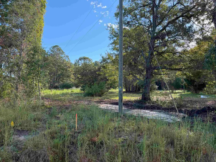 Tract 2 Wise Rd., Conway, SC 29526 - #3