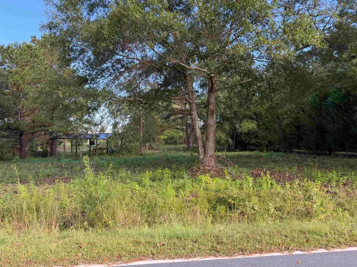 Tract 3 Wise Rd., Conway, SC 29526 - #1
