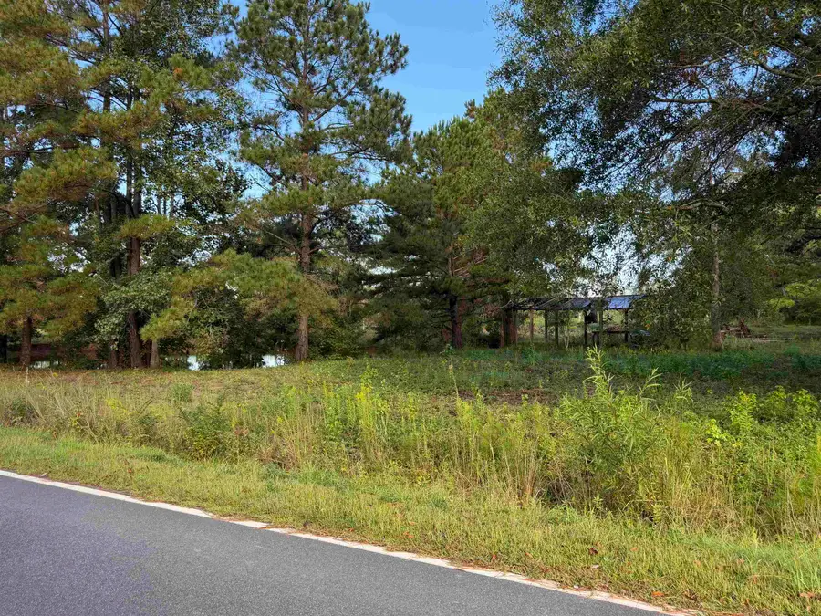 Tract 3 Wise Rd., Conway, SC 29526 - #2