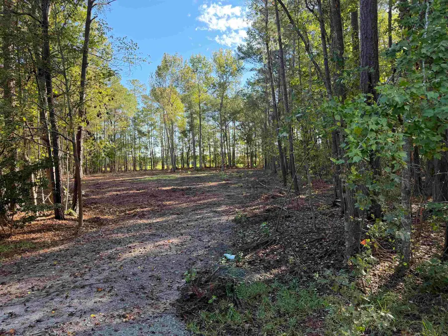 Tract 4 Wise Rd., Conway, SC 29526 - #3