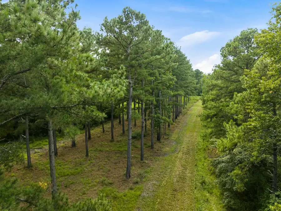 1569 Dave Plowden Pond Rd, Manning, SC 29102 - #2