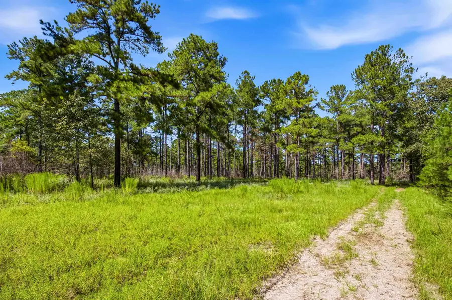 1569 Dave Plowden Pond Rd, Manning, SC 29102 - #3
