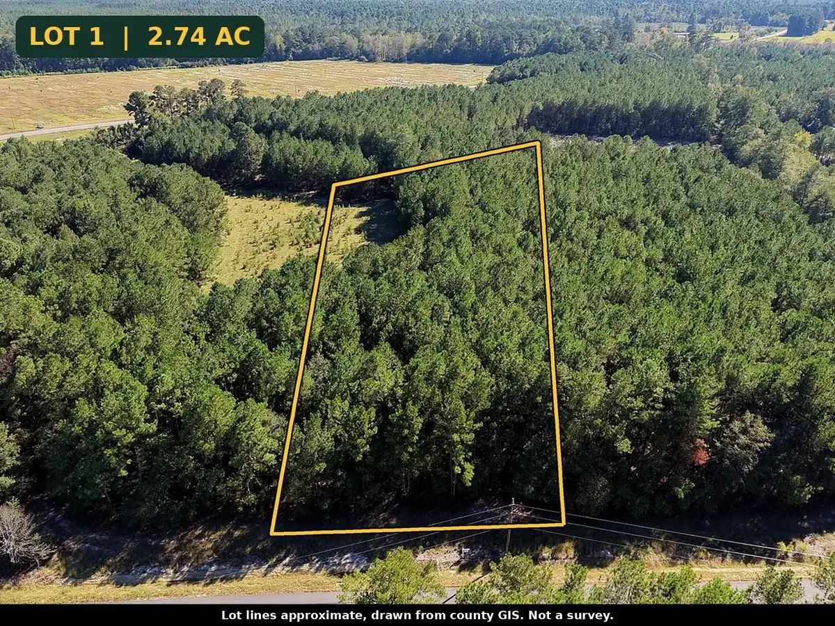 TBD Tranquil Rd., Nichols, SC 29581 - #1