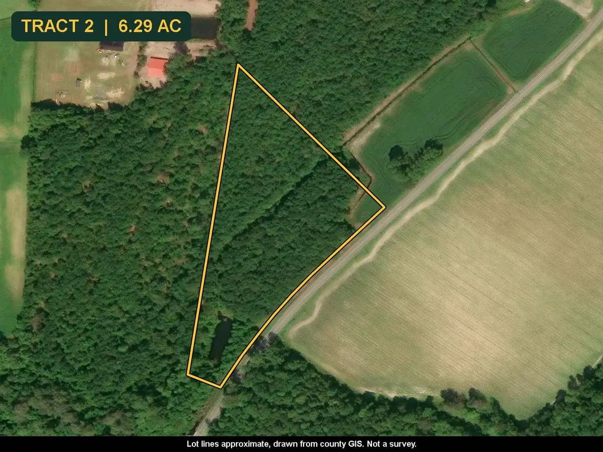 TBD N Nichols Hwy., Nichols, SC 29581 - #1