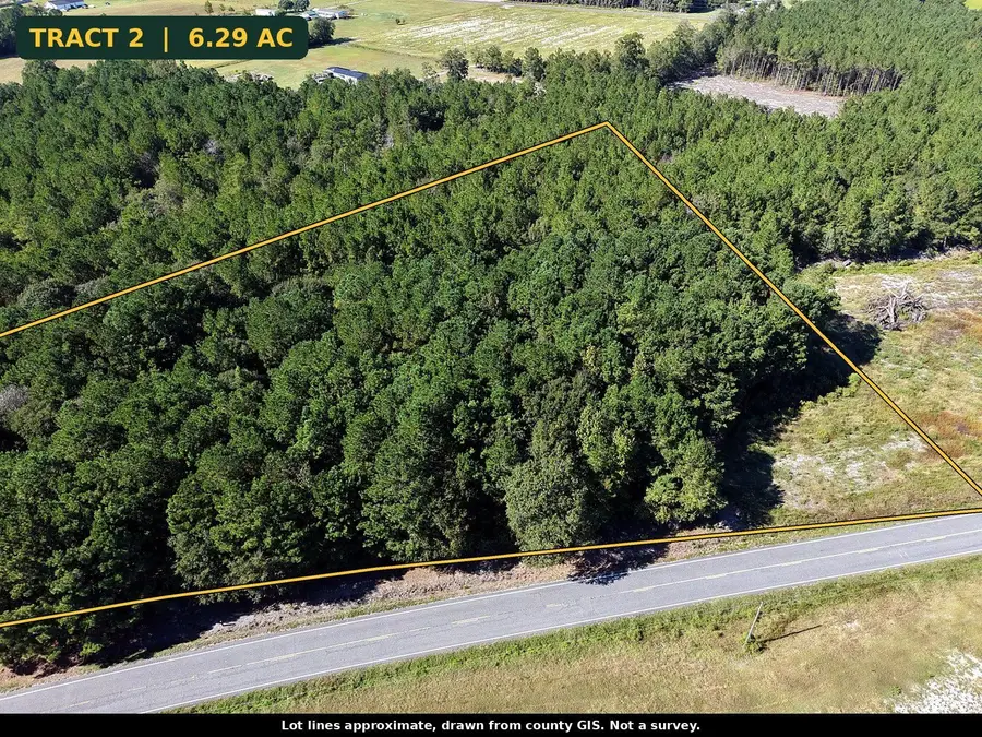 TBD N Nichols Hwy., Nichols, SC 29581 - #3