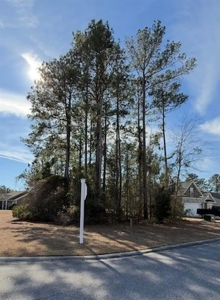 2001 Spring Valley Ct., Loris, SC 29569 - #2