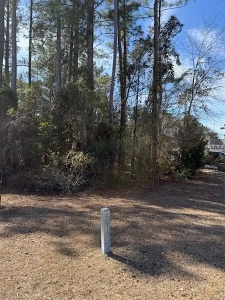 2001 Spring Valley Ct., Loris, SC 29569 - #3