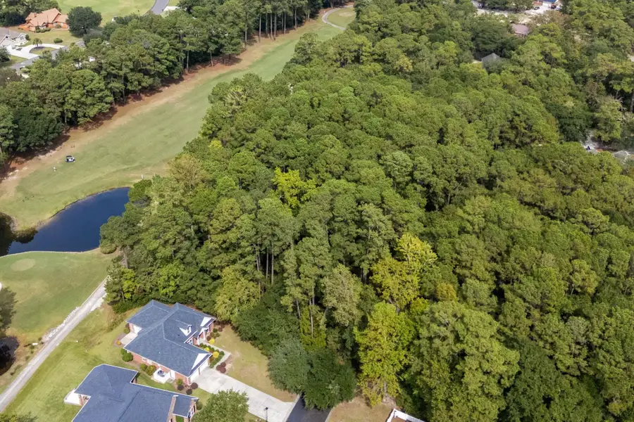 TBD Hogans Alley, Little River, SC 29566 - #2