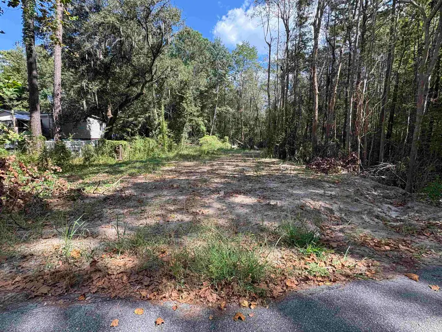 TBD Waccamaw Lake Dr., Conway, SC 29526 - #2