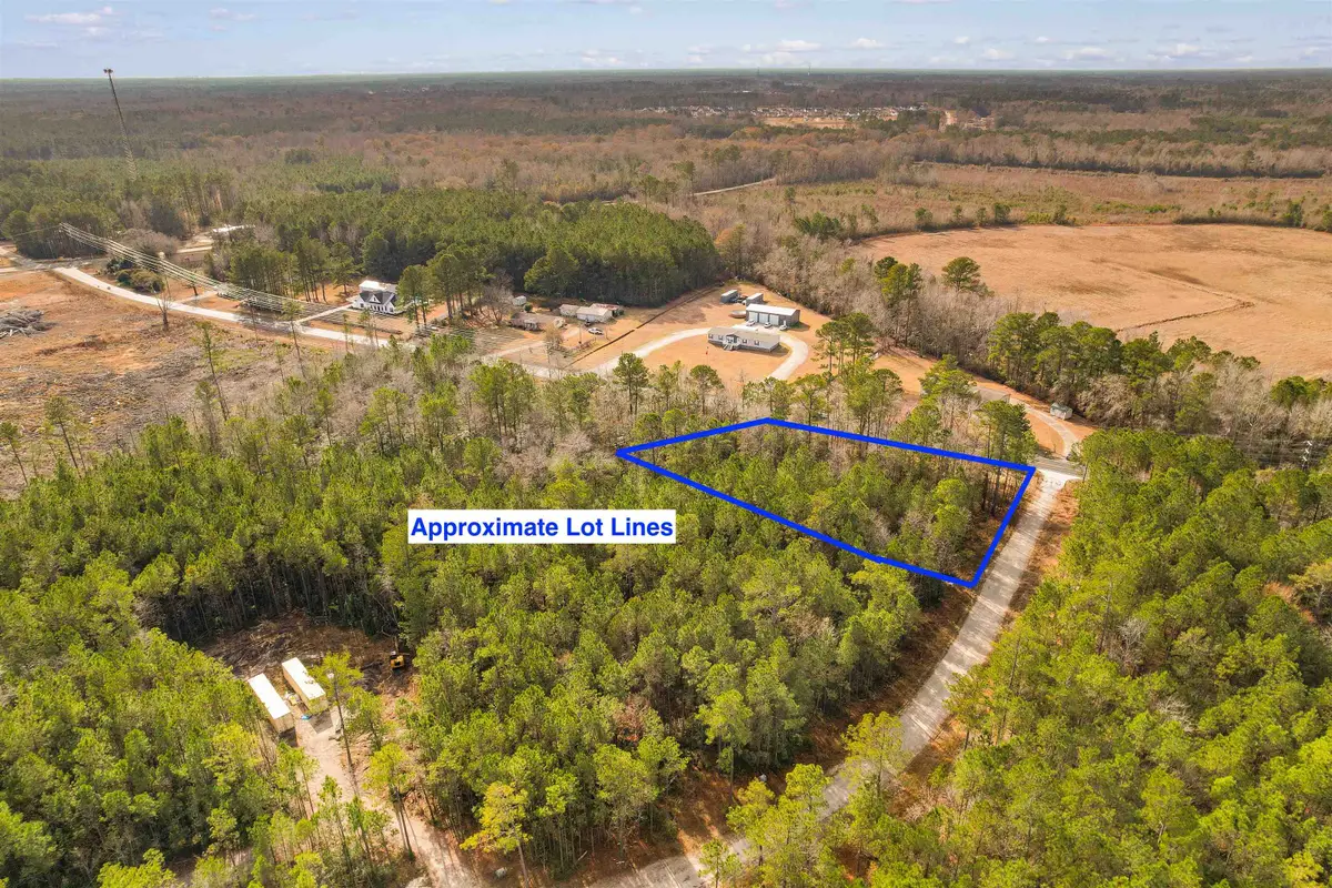 TBD Old Buck Creek Rd., Longs, SC 29568 - #1