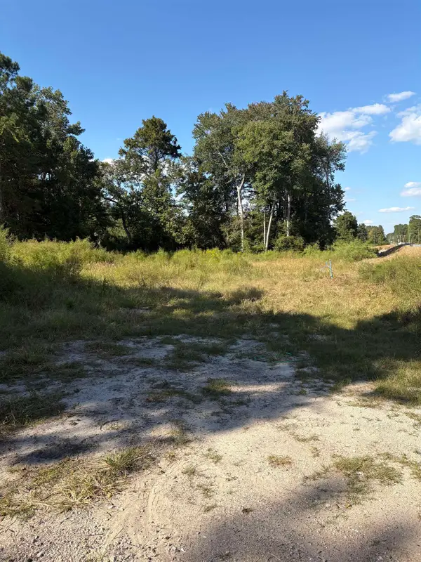 TBD Red Bluff Rd., Loris, SC 29569