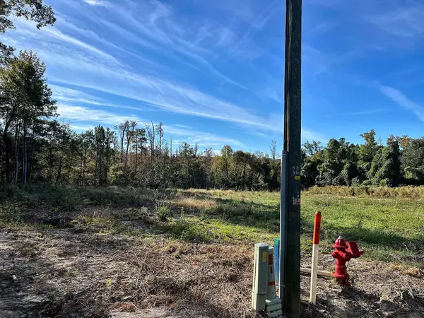 TBD N Highway 905, Longs, SC 29568