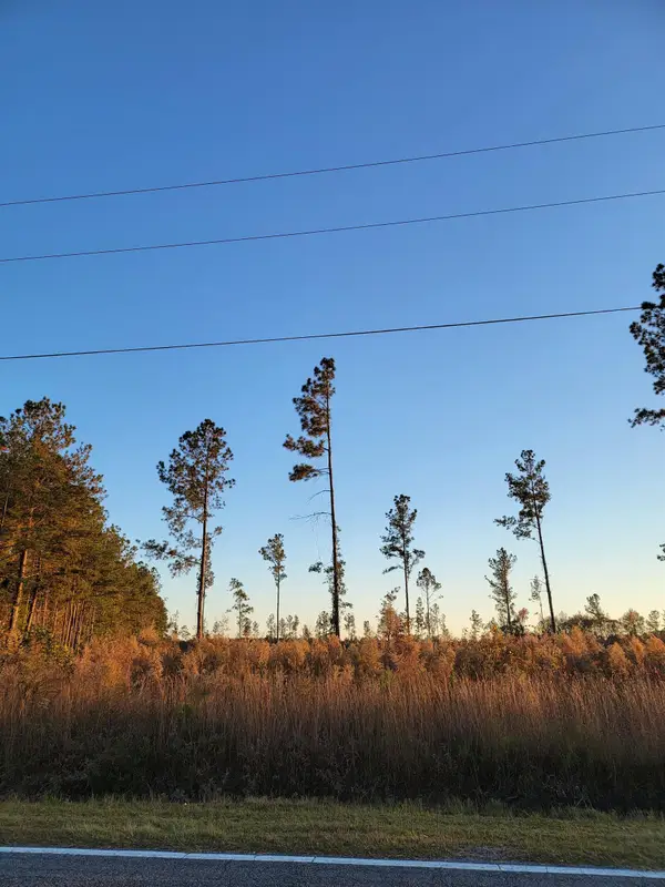 630 Hulls Island Rd., Loris, SC 29569