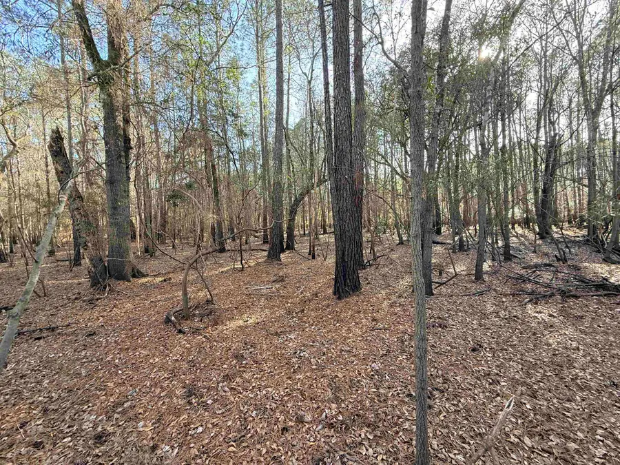 Bryants Landing Rd., Conway, SC 29526 - #3