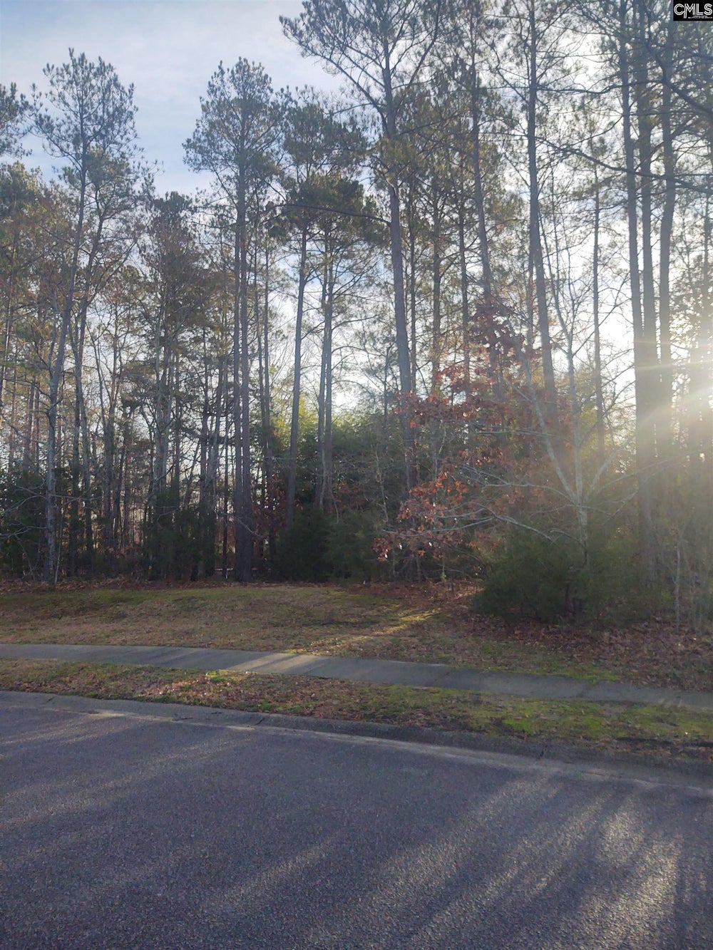 112 Amberwood Circle, Irmo, SC 29063 ERA