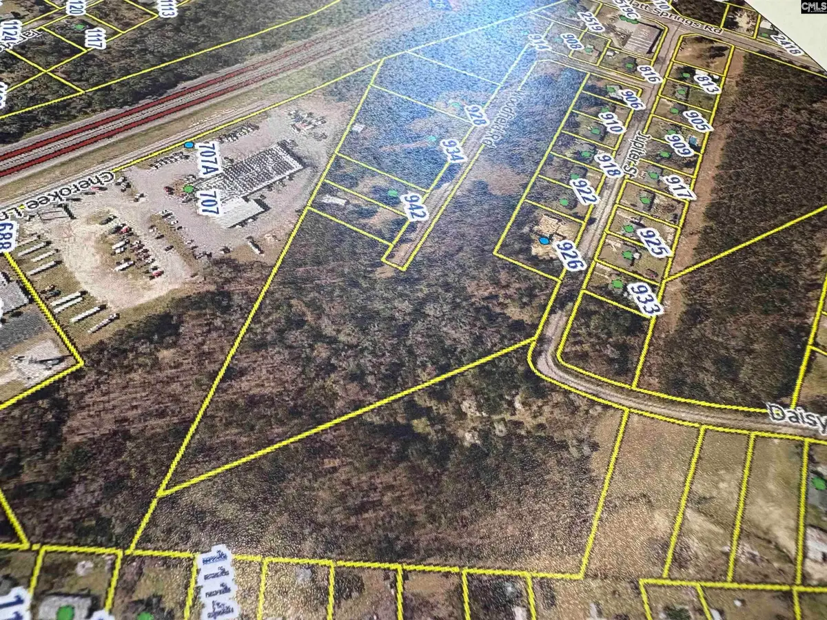 TBD Woodfield, Jupiter & Daisey Track, West Columbia, SC 29169 - Image #1