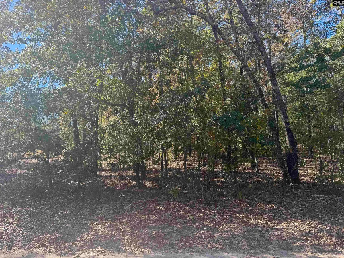 TBD Possum Trail, Bamberg, SC 29003 - #1