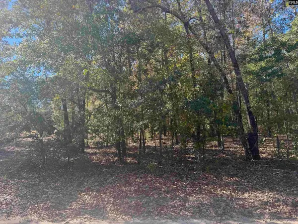TBD Possum Trail, Bamberg, SC 29003