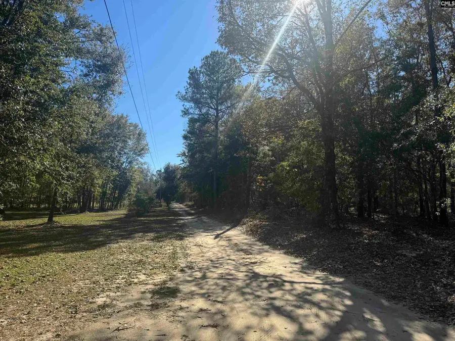 TBD Possum Trail, Bamberg, SC 29003 - #2