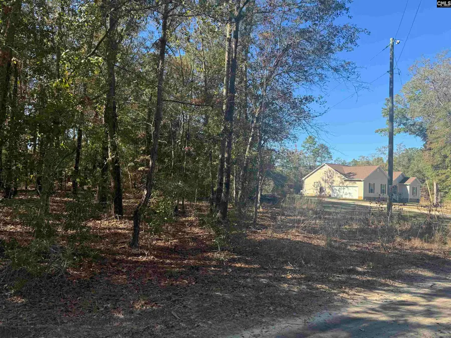 TBD Possum Trail, Bamberg, SC 29003 - #3