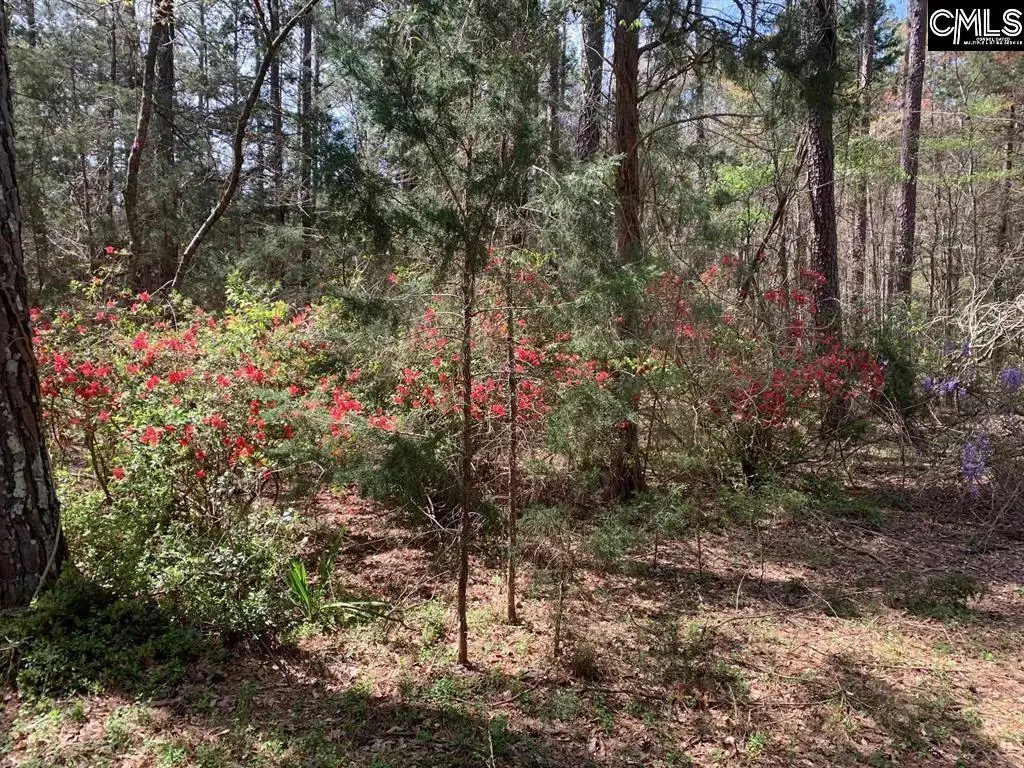 0 TBD PARCEL B Eleazer Road, Irmo, SC 29063 - #1