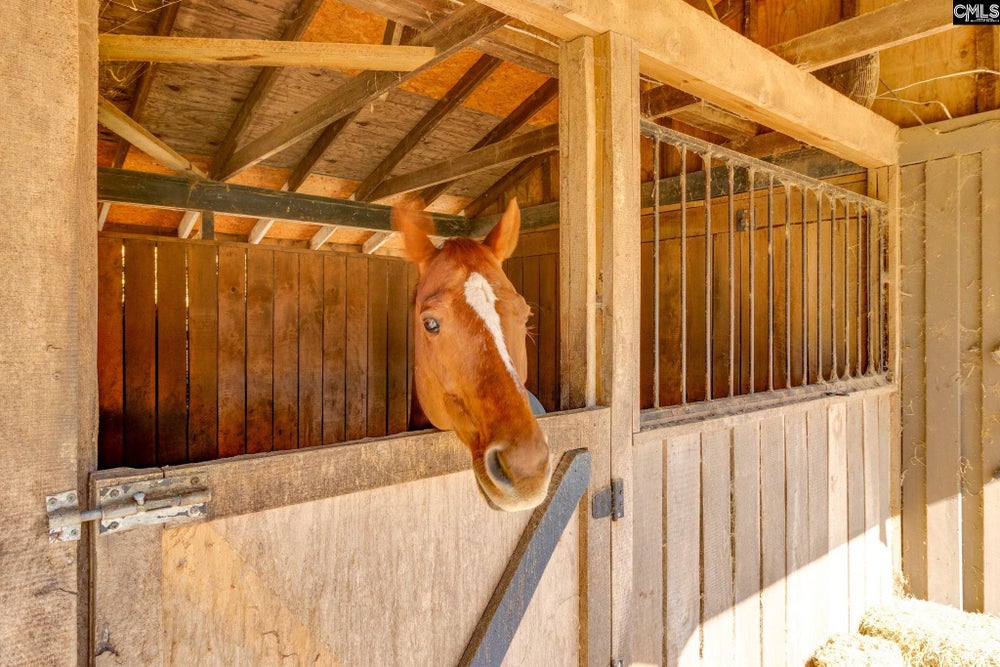 650 Red Fox Road, Camden, SC 29020 - ERA