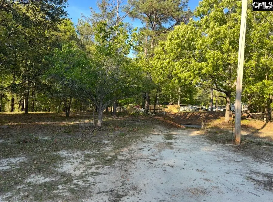 304 Adams Road, Blythewood, SC 29016 - Image #3