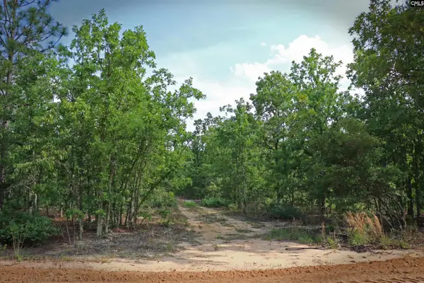 TBD Webbs Pond, Williston, SC 29853