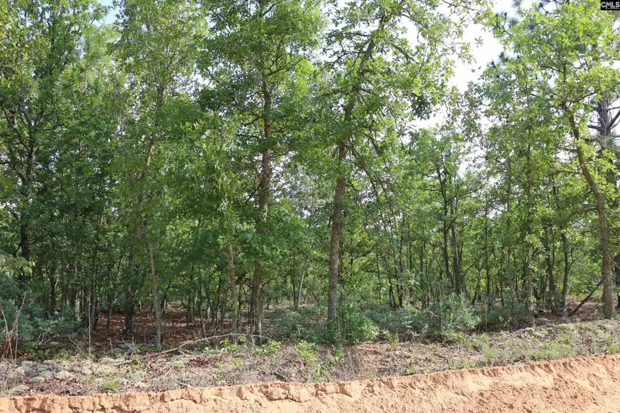 TBD Webbs Pond, Williston, SC 29853 - #3
