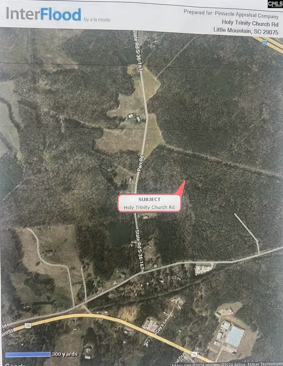 Parcle 2 Hwy 167, Little Mountain, SC 29075 - #2