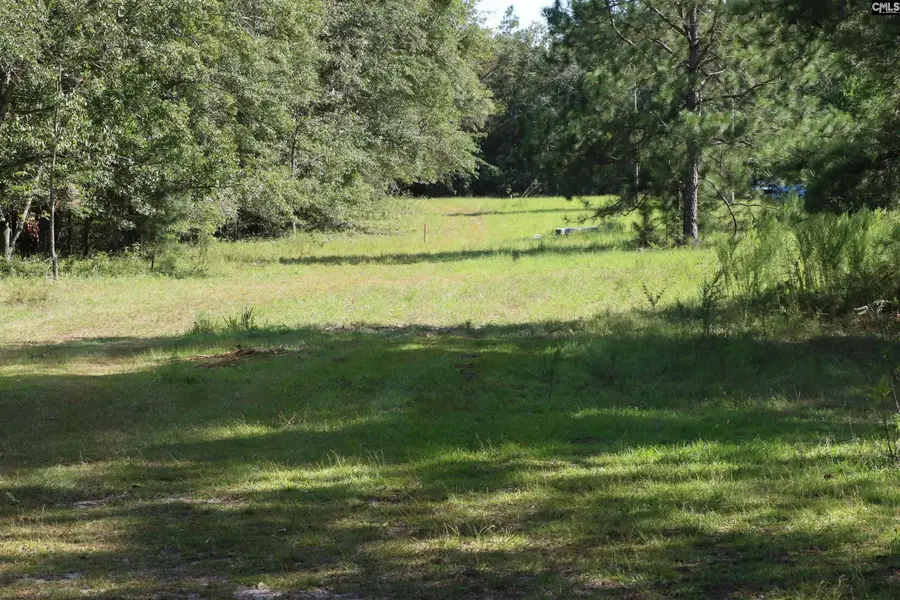 Bubba Gunter Road, Wagener, SC 29164 - #2