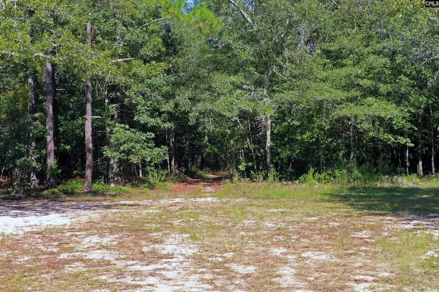 Bubba Gunter Road, Wagener, SC 29164 - #3