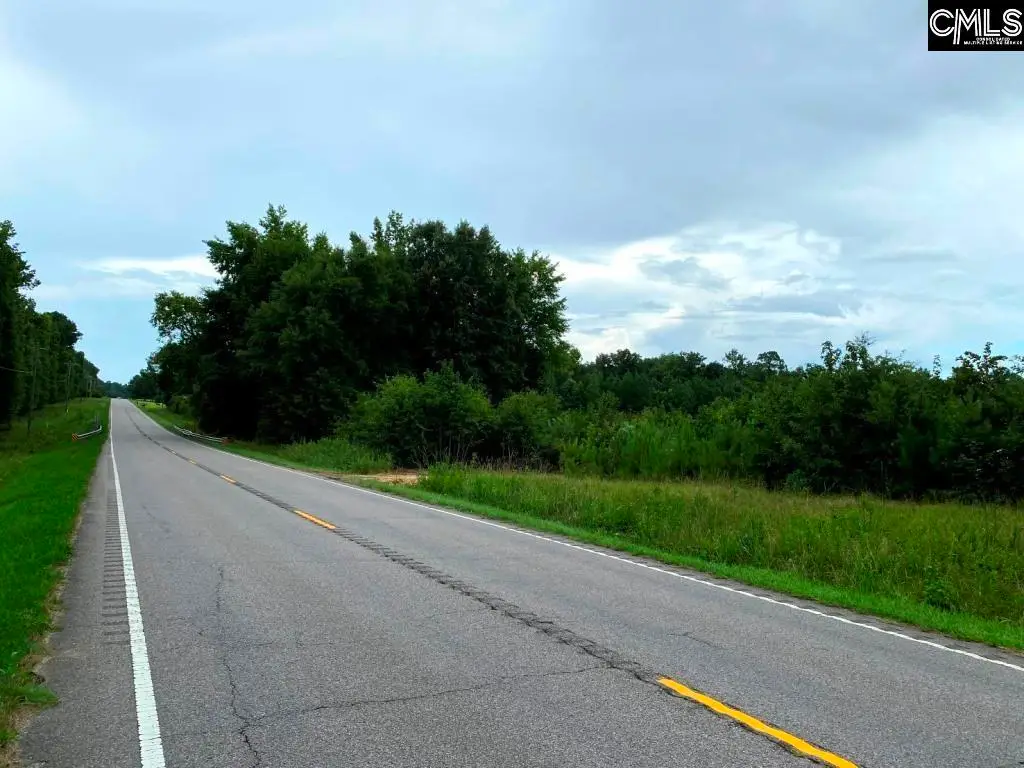 Ridge Spring Highway, Saluda, SC 29138 - #1