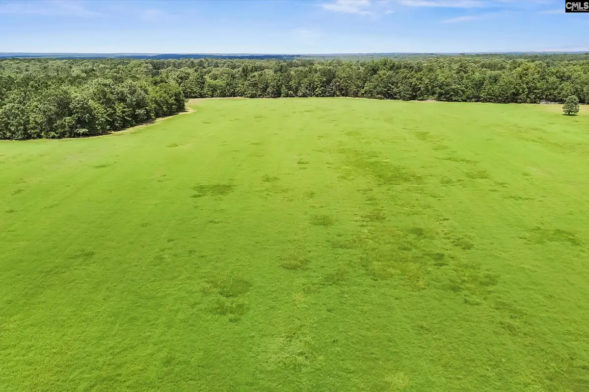 Lot 5 Mt Beulah Road, Windsor, SC 29856 - #1