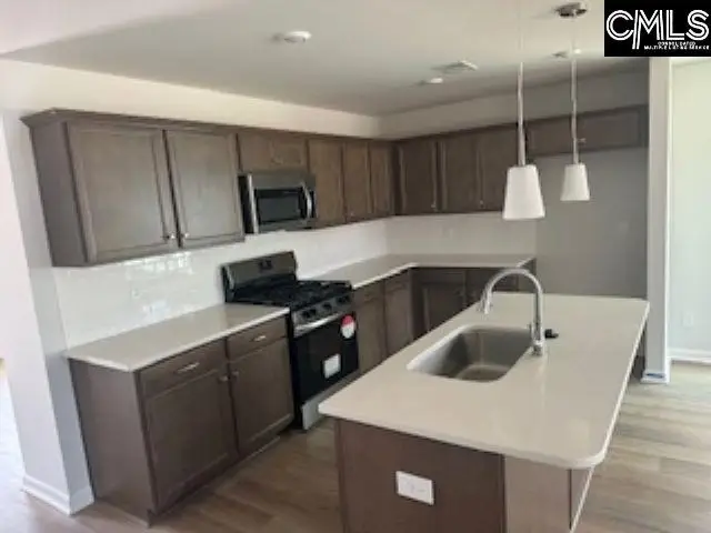 735 Clementine Run, Gilbert, SC 29054 - Image #2