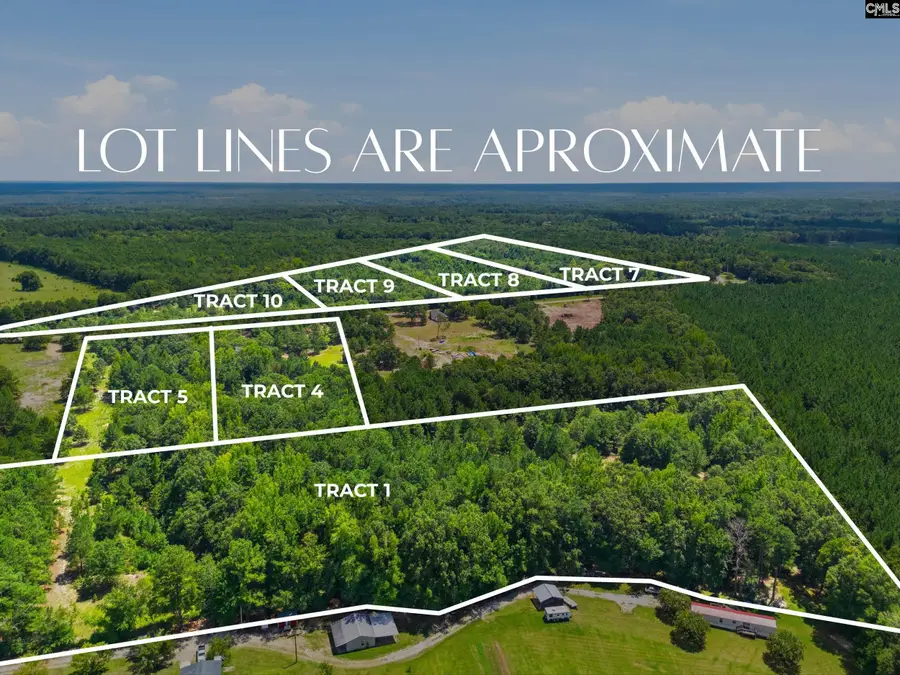 347 Smyrna Road, Elgin, SC 29045 - #3