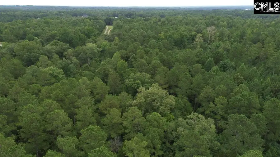 Hwy 391 Road, Prosperity, SC 29127 - Image #2