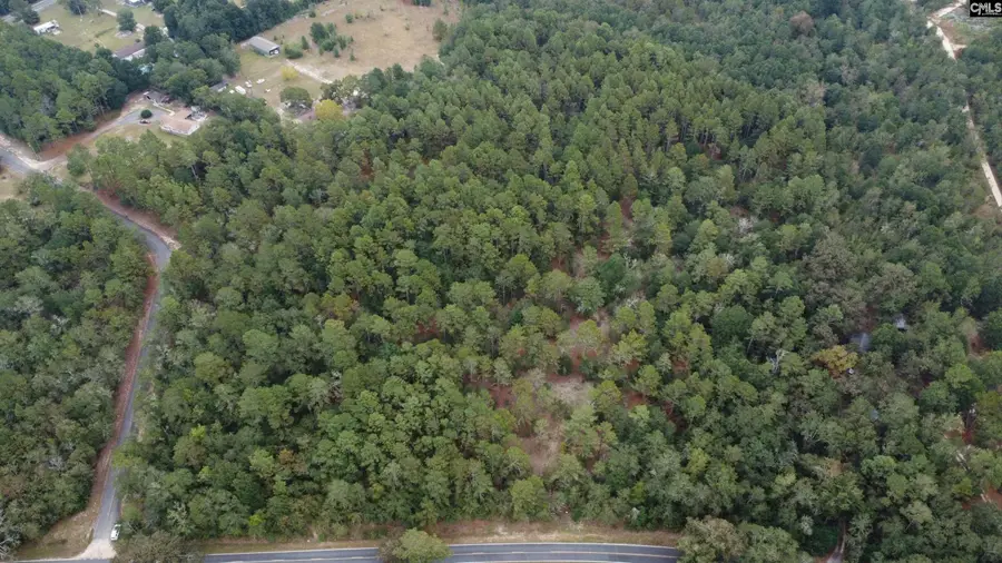 TBD Holiness Church Road, Wagener, SC 29164 - #2