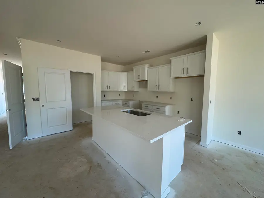 517 Griffon Drive, Chapin, SC 29036 - Image #3