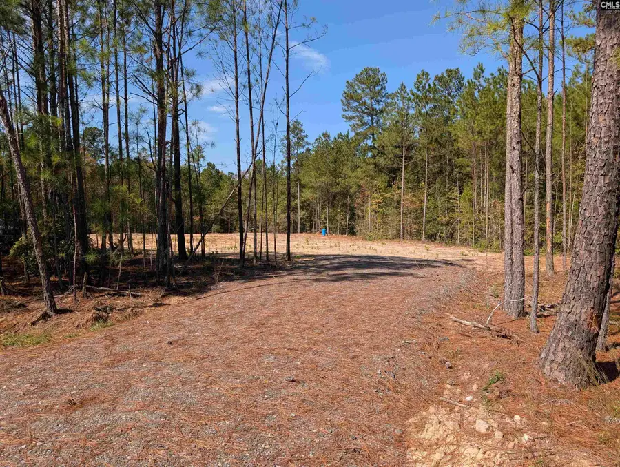 00 Mann Road, Winnsboro, SC 29180 - Image #2