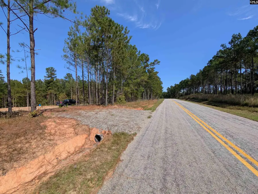 00 Mann Road, Winnsboro, SC 29180 - Image #3