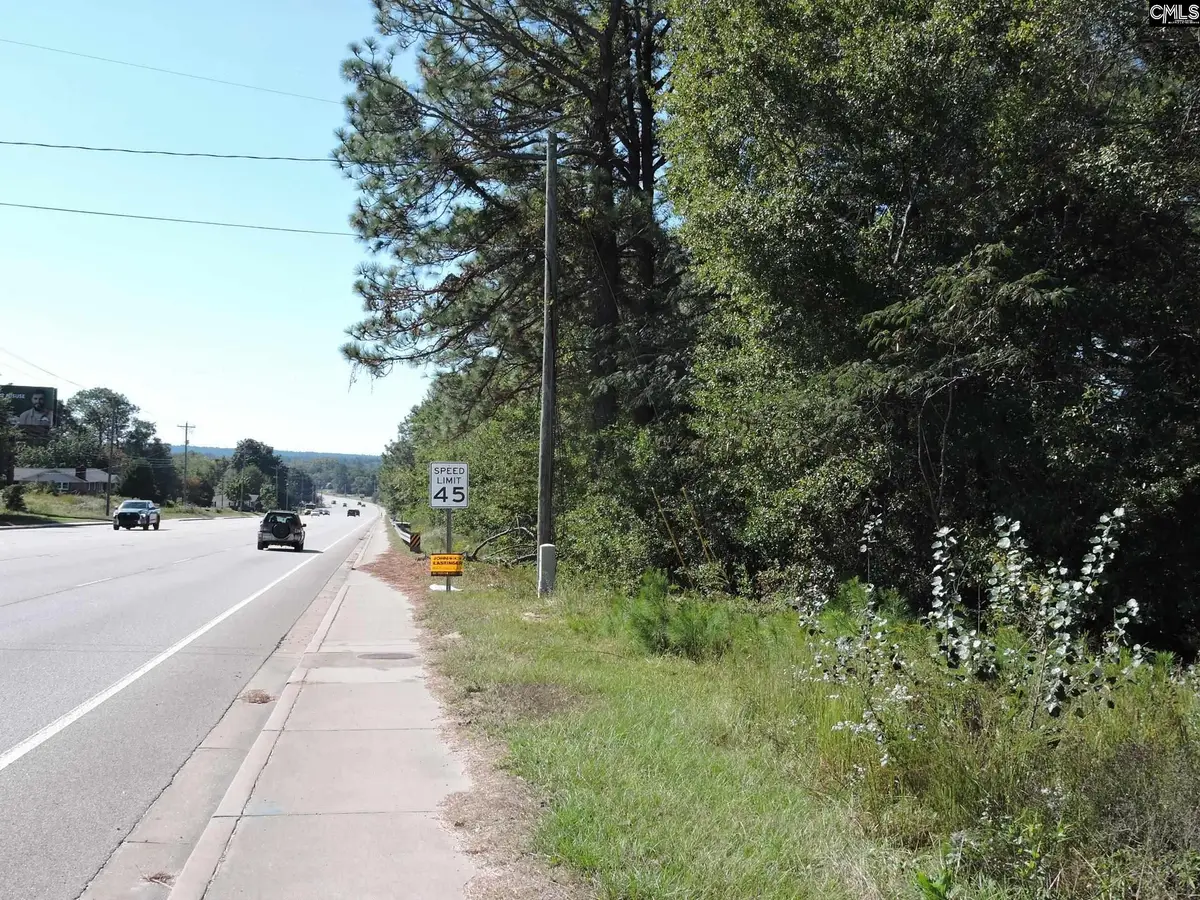 1250 South Lake Dr, Lexington, SC 29073 - Image #1